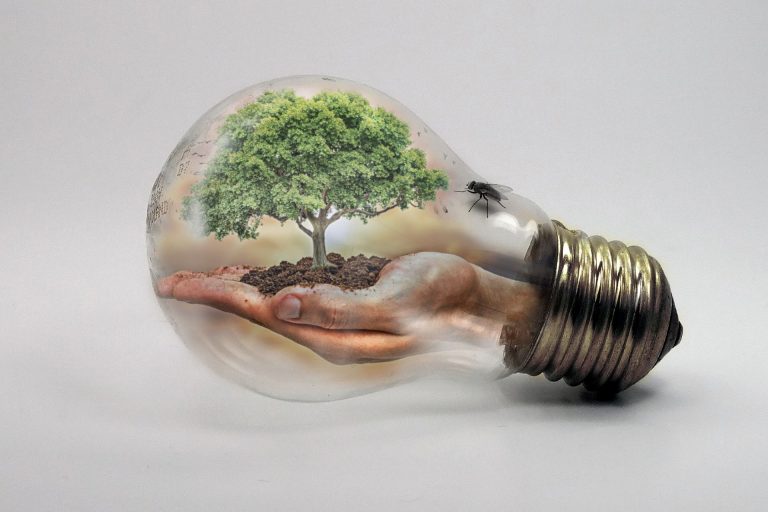 seven reasons to keep your website organic and ever changing