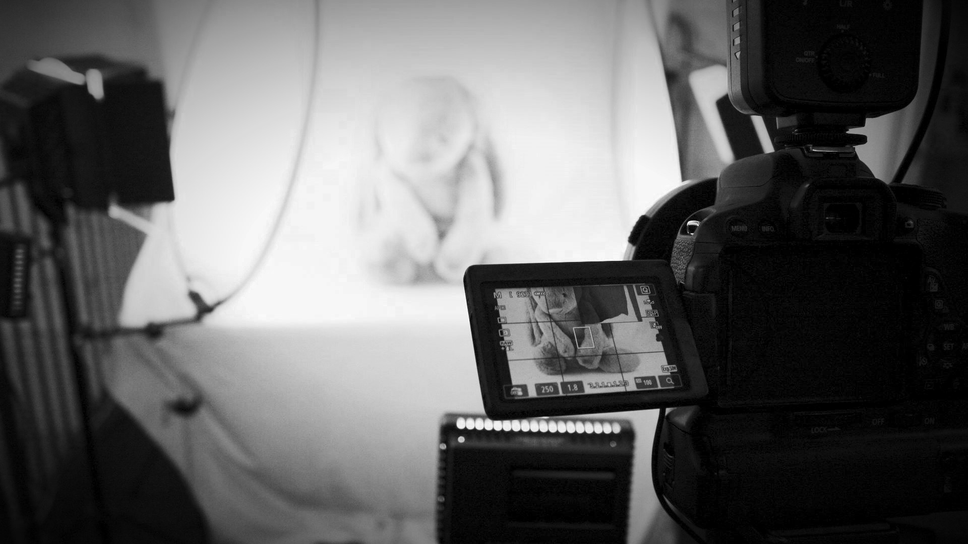 Mastering the Brush of Illumination