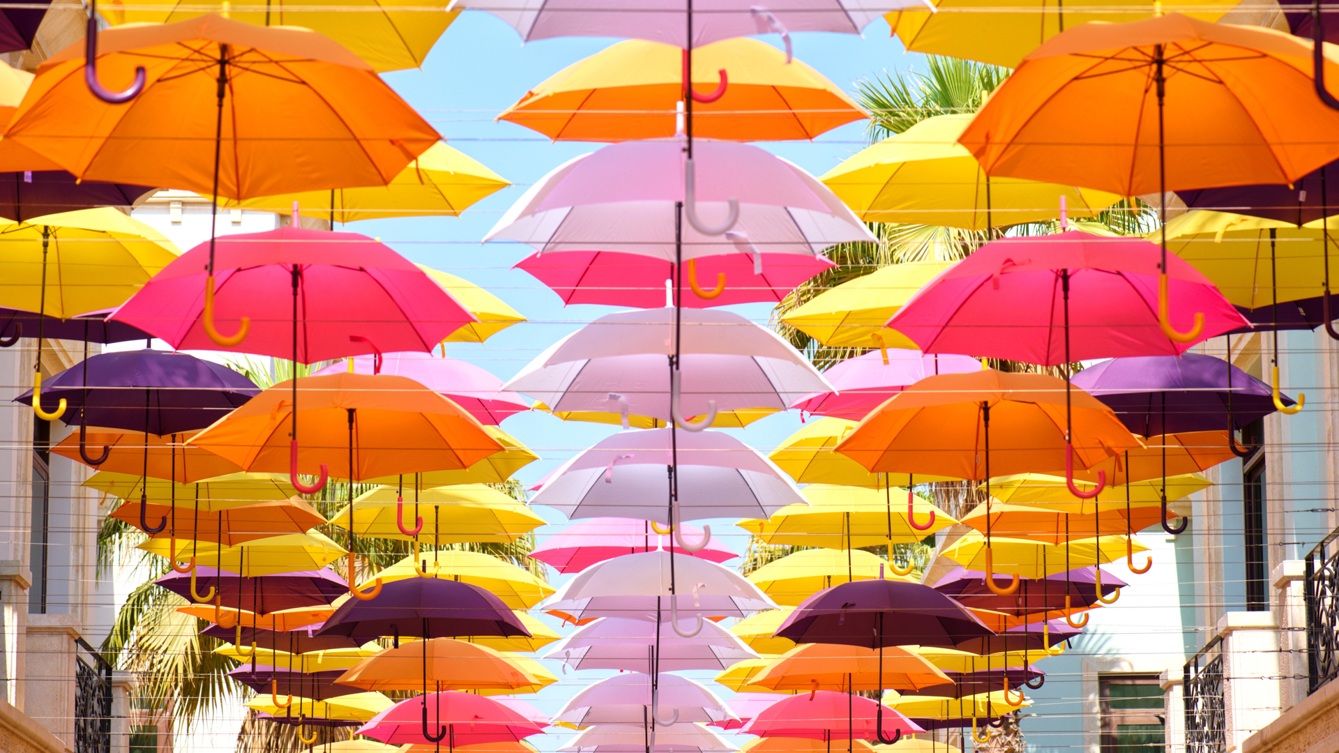 Designing Websites Around Colour