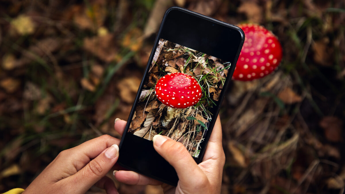 Why Should You Think Twice Before Using Third-Party Apps on Your Website?