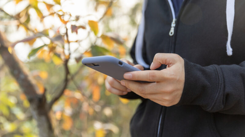 How Does Email Work? Our Beginner's Guide