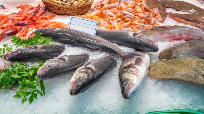 Is Your Social Media Channel a Dead Fish?
